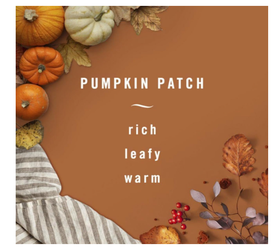 Febreze Air Freshner Odor Fighting Spray, Pumpkin Patch Limited Edition 8.8 oz Pack of 2 + Febreze Small Spaces Air Freshener Limited Edition Pumpkin Patch 2 pack